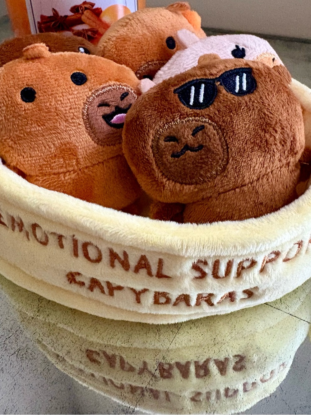 Plush 'Emotional Support' capybaras Set - Brown & Cream